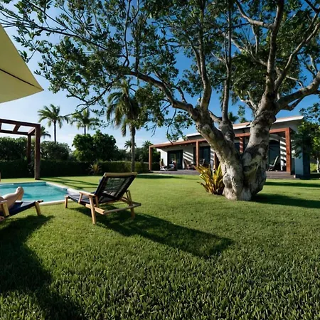 Fofo Platana Beachfront Villa